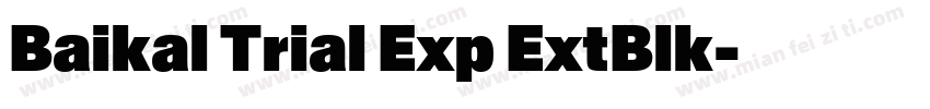Baikal Trial Exp ExtBlk字体转换